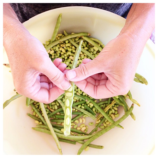 Shelling Peas.jpg