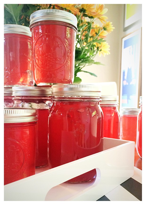 jars-of-muscadine-heaven